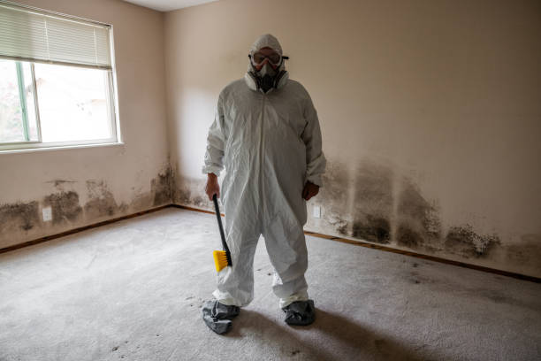 Best Toxic Mold Removal  in Ocala, FL